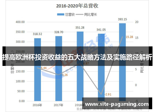 提高欧洲杯投资收益的五大战略方法及实施路径解析