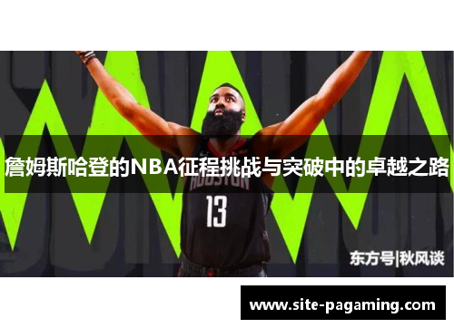 詹姆斯哈登的NBA征程挑战与突破中的卓越之路