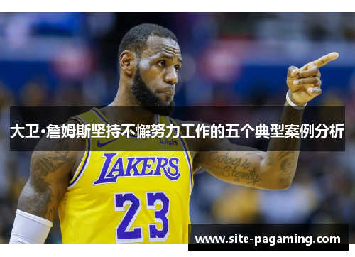 大卫·詹姆斯坚持不懈努力工作的五个典型案例分析
