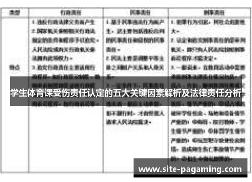 学生体育课受伤责任认定的五大关键因素解析及法律责任分析