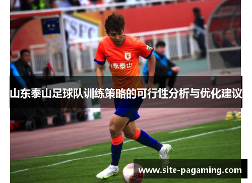 山东泰山足球队训练策略的可行性分析与优化建议