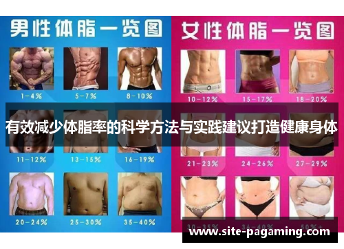 有效减少体脂率的科学方法与实践建议打造健康身体