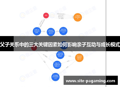 父子关系中的三大关键因素如何影响亲子互动与成长模式