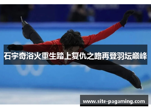 石宇奇浴火重生踏上复仇之路再登羽坛巅峰