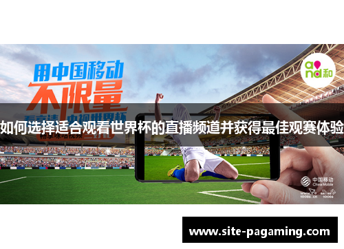 如何选择适合观看世界杯的直播频道并获得最佳观赛体验
