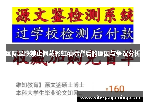 国际足联禁止佩戴彩虹袖标背后的原因与争议分析