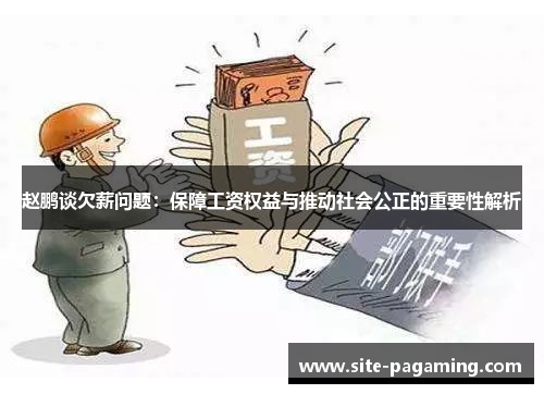 赵鹏谈欠薪问题：保障工资权益与推动社会公正的重要性解析