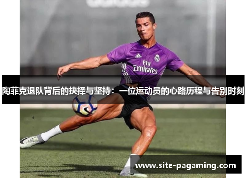 陶菲克退队背后的抉择与坚持：一位运动员的心路历程与告别时刻