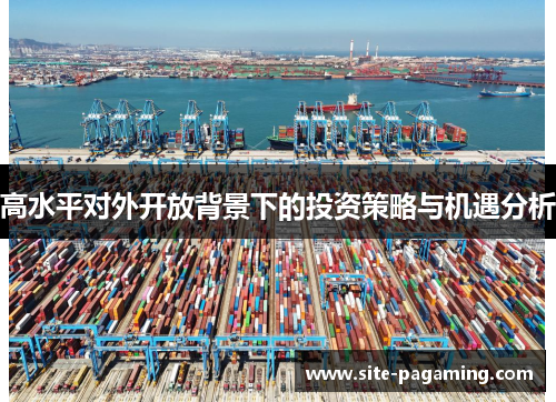 高水平对外开放背景下的投资策略与机遇分析 高水平对外开放背景下的投资策略与机遇分析