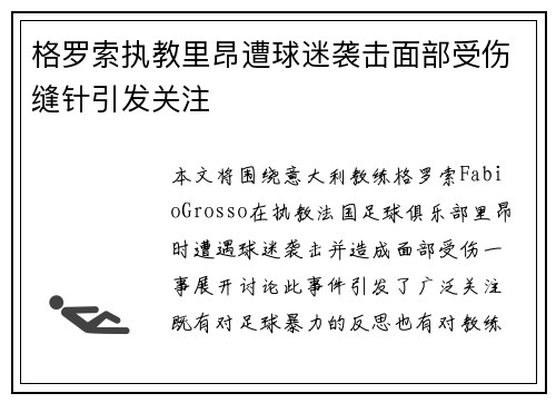 格罗索执教里昂遭球迷袭击面部受伤缝针引发关注